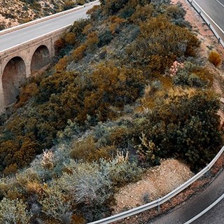 Road Promotion | Raytech Electronic